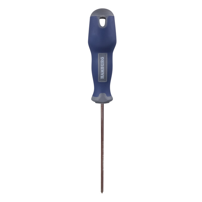 پیچ گوشتی چهارسو هامبورگ مدل HA -3/100