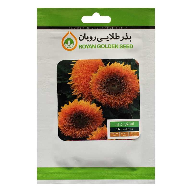 بذر گل آفتابگردان زرد بذر طلایی رویان کد BZTR-001