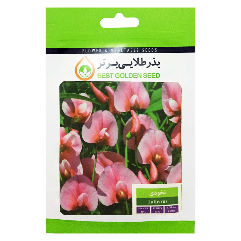 بذر گل نخودی بذر طلایی برتر کد BZT-42