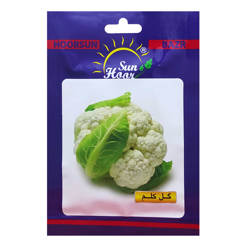 بذر گل کلم هورسان کد HSN-07