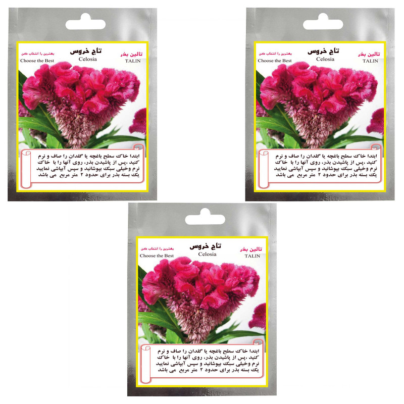 بذر گل تاج خروس تالین بذر مدل TAL-007 مجموعه 3 عددی