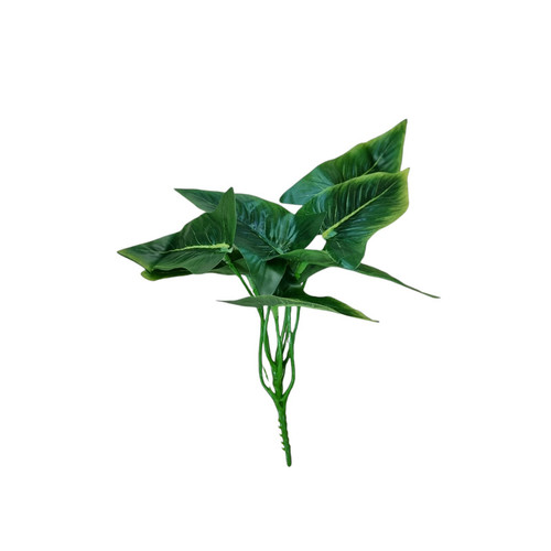 null